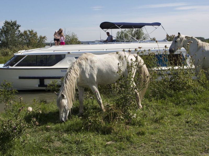Camargue Boat Hire