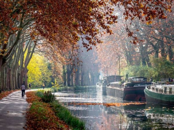 Boat Trip Canal Du Midi