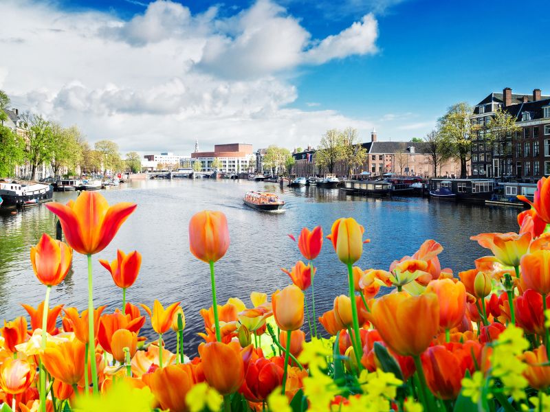 Dutch Regional Canalboat